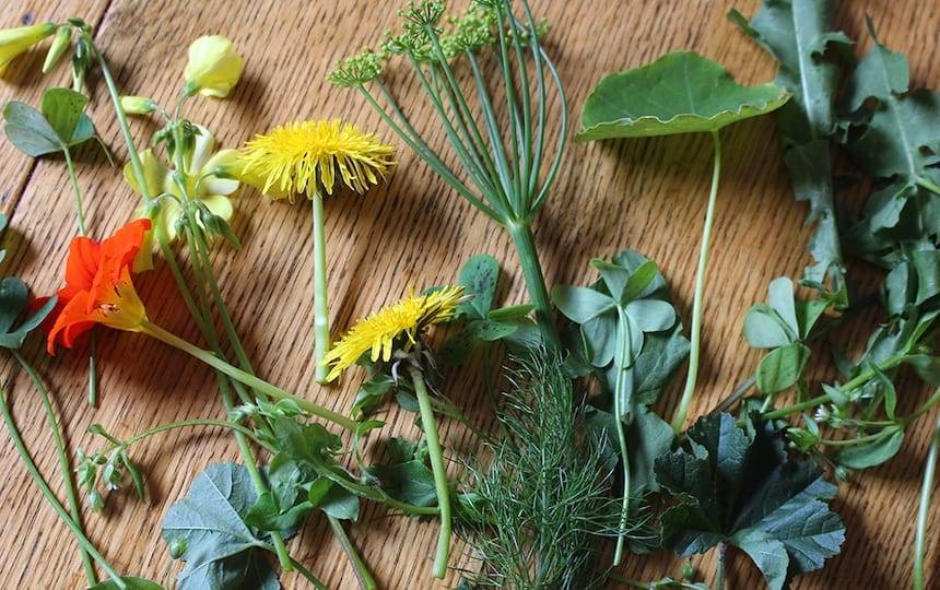 10 Tips to Spring Clean Your Garden for Summer