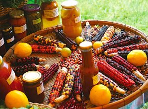 10 Ways To Create a Fair Food System