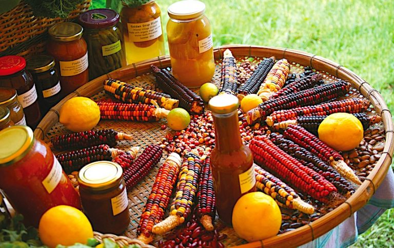 10 Ways To Create a Fair Food System