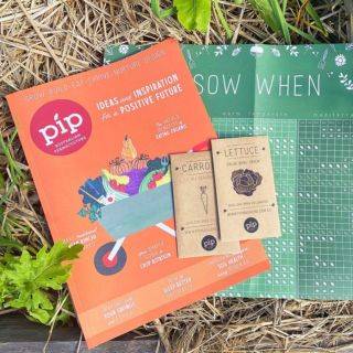 pip magazine issue 19