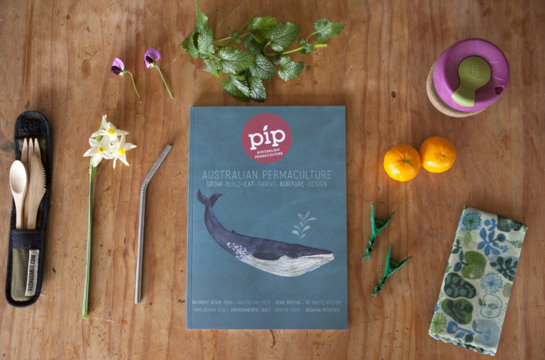 Issue 14 Pip Magazine