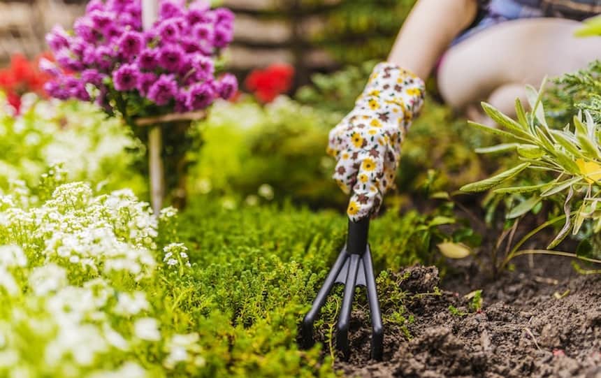 using compost on the garden