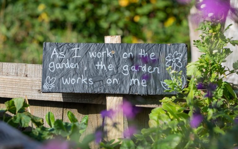 5 Health Benefits of Gardening