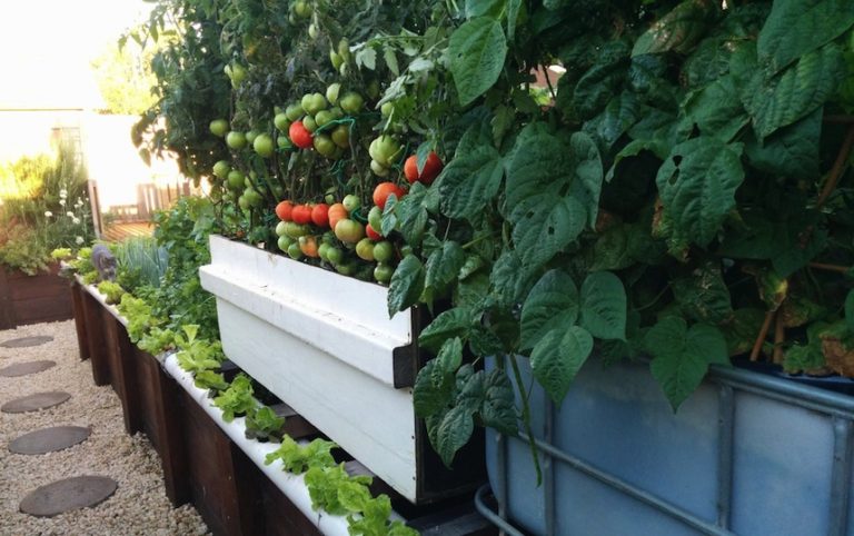5 Spring Cleaning Must Dos for Your Garden