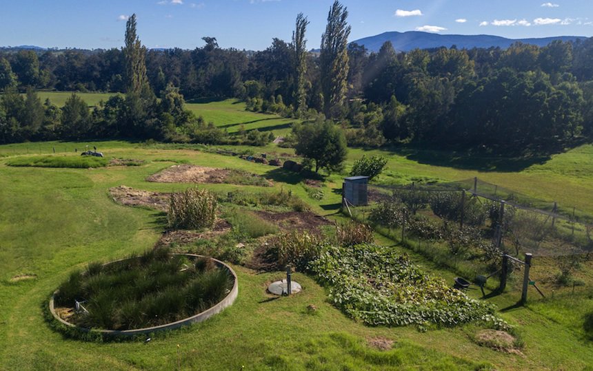garden orchard