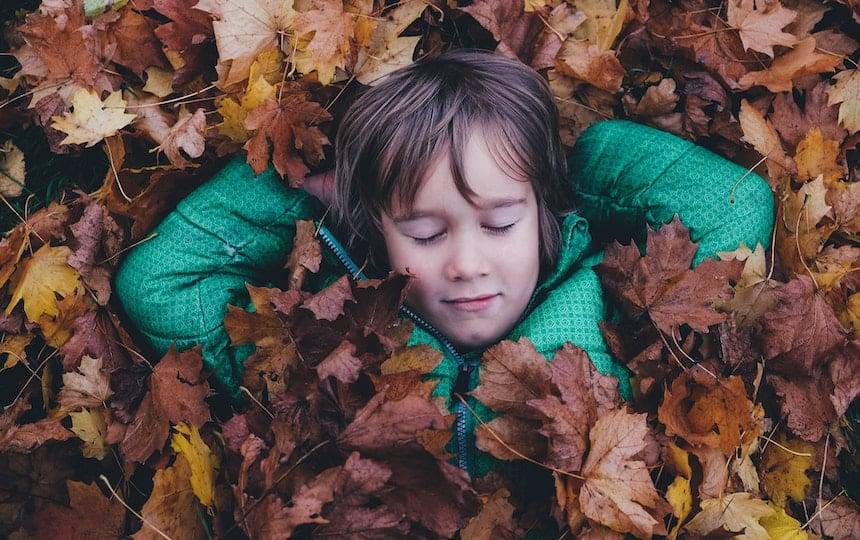 5 Things to do With Autumn Leaves