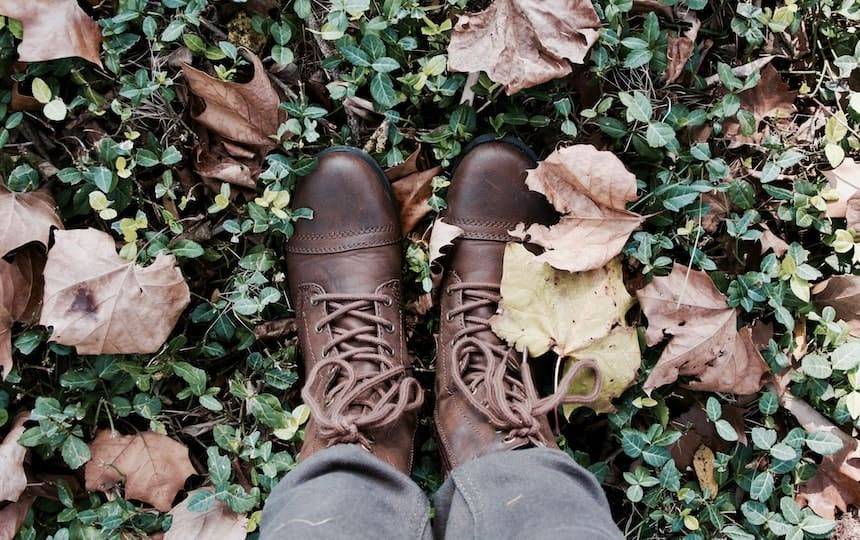 5 Things to do With Autumn Leaves