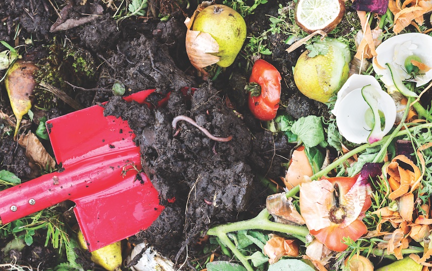 If you’ve ever noticed fat, wriggling maggots in your compost bin, there’s a good chance these were black soldier fly larvae, which can break down organic matter even faster than worms can.