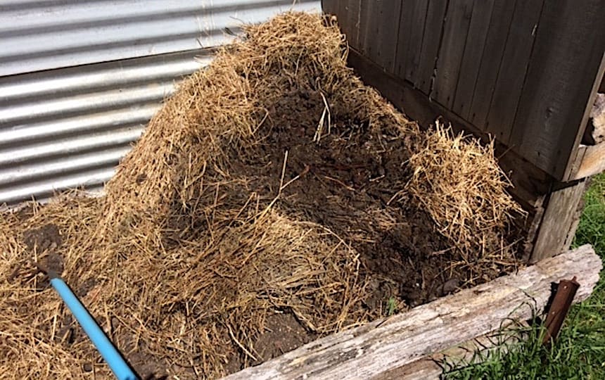 using manure on your garden