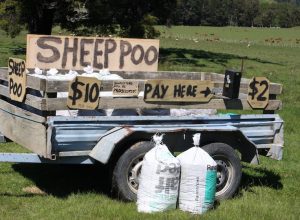 7 Types of Manure to Use on Your Garden