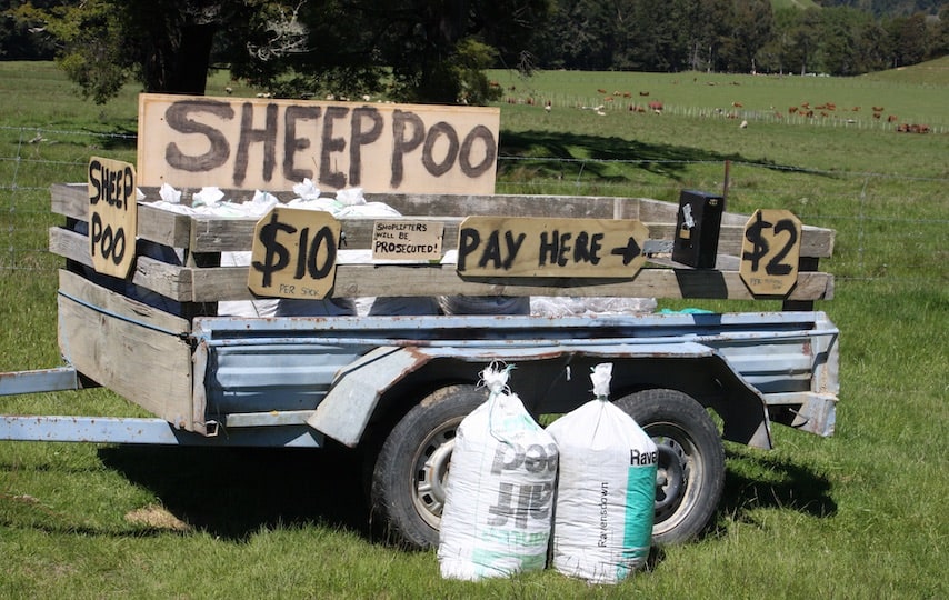 7 Types of Manure to Use on Your Garden