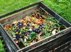 composting food waste
