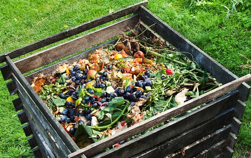 composting food waste