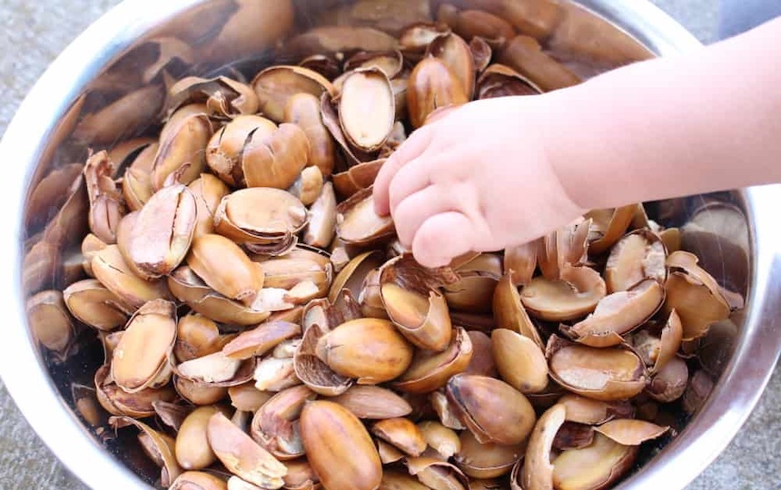 Acorn flour recipe 