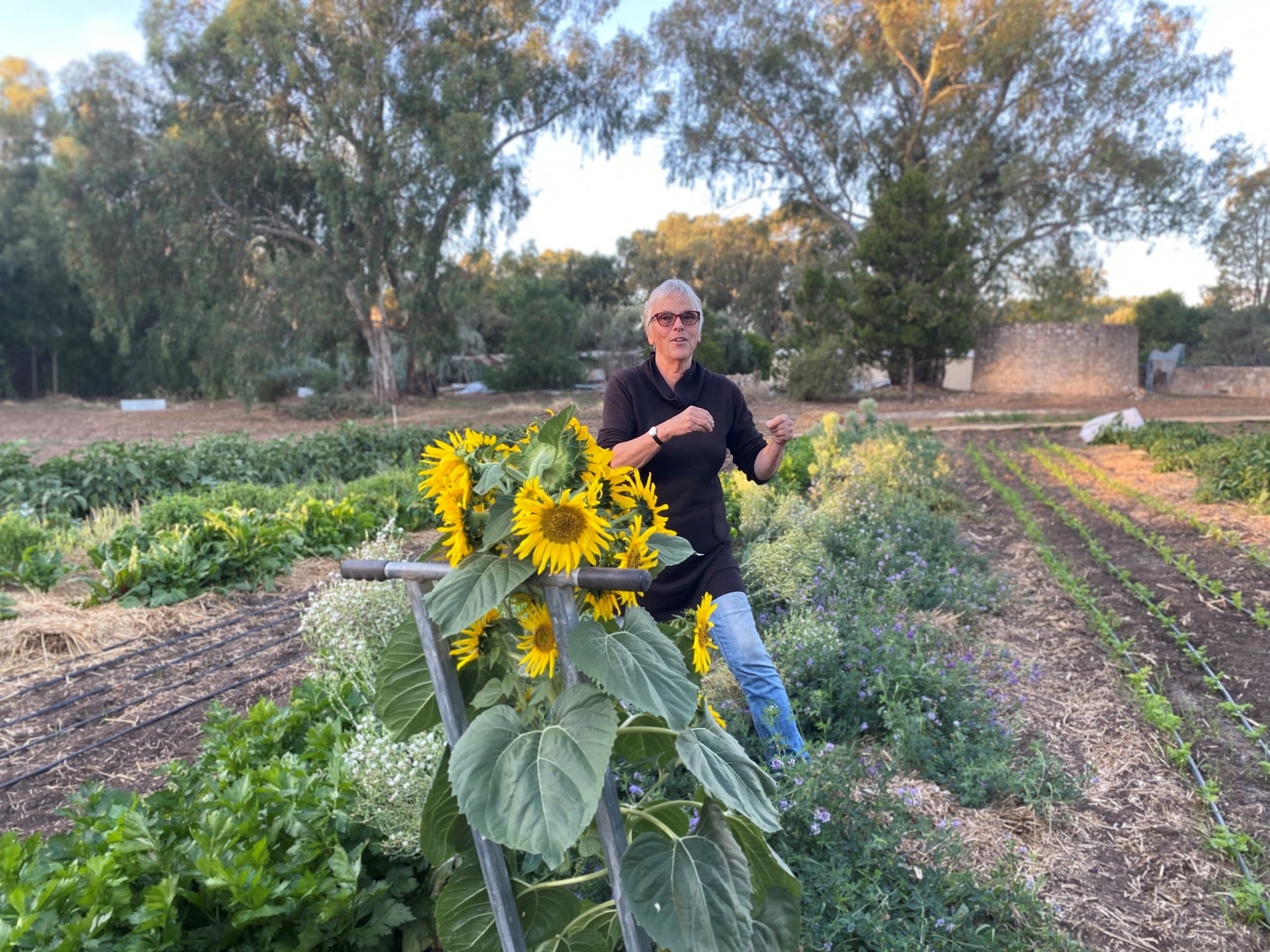 Cert IV Permaculture Pip Magazine
