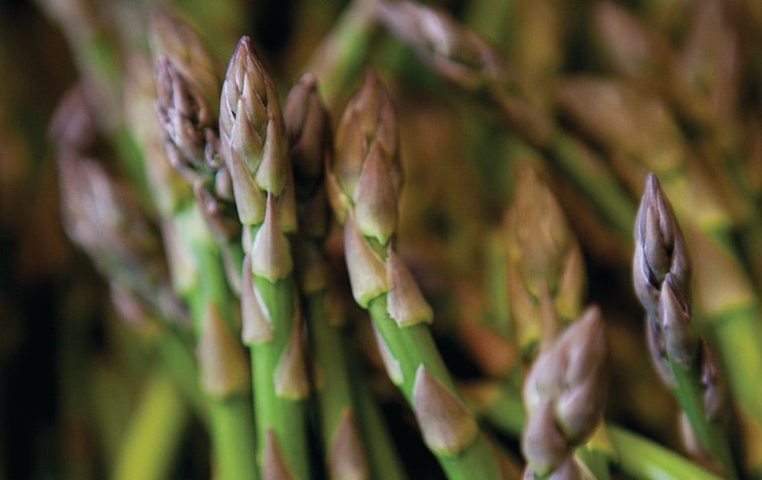 asparagus