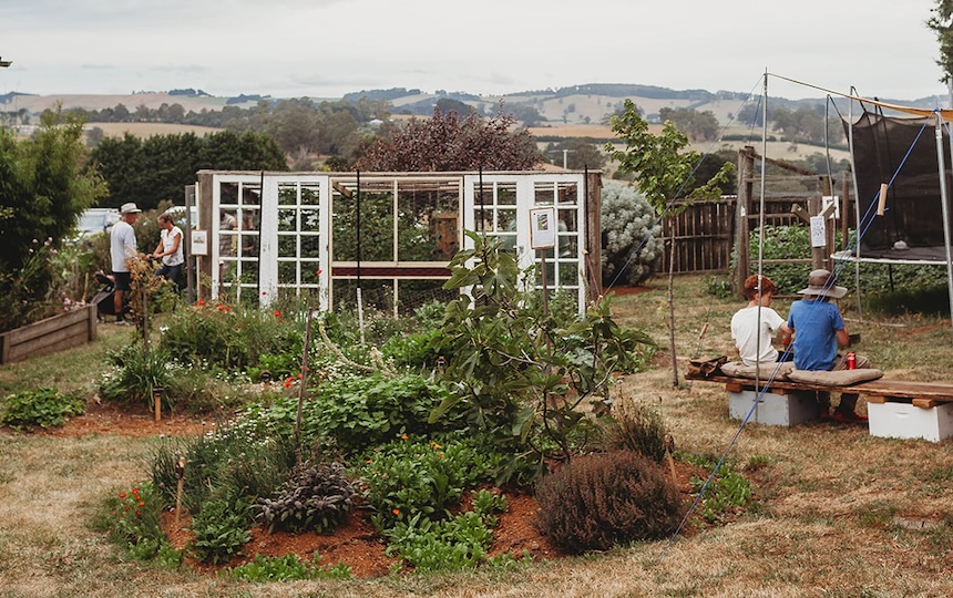 Nurturing Permaculture Roots in Rental Spaces