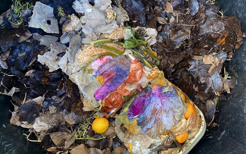Composting seeds, pips, stones 1