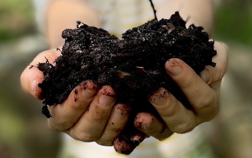 Composting seeds, pips, stones 5