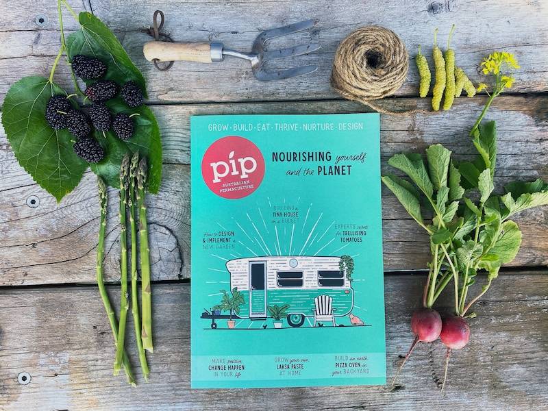 pip magazine issue 22