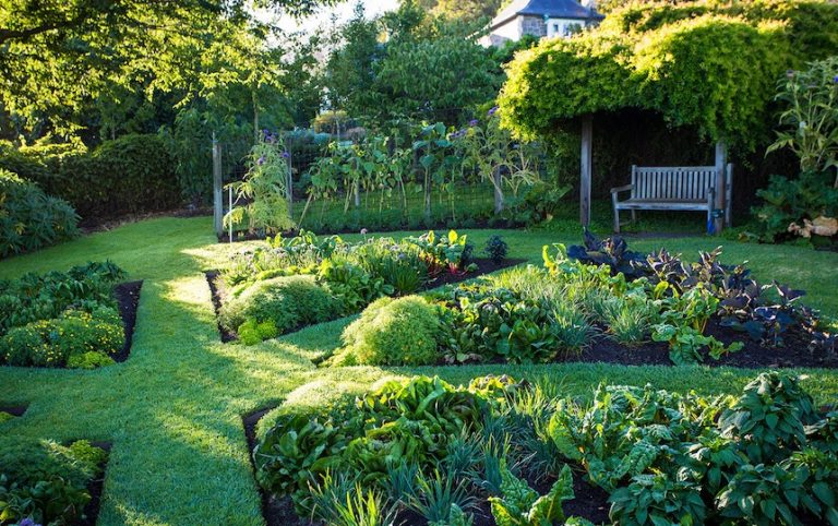 The Diggers Club: Helping gardeners grow productive gardens for a sustainable future