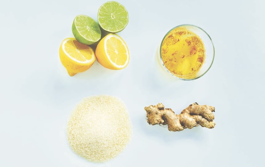 Easy ginger beer recipe