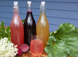Fermented Low-Alcohol Drinks Recipes
