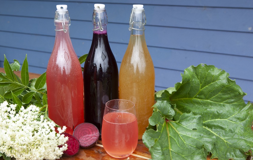 Fermented Low-Alcohol Drinks Recipes