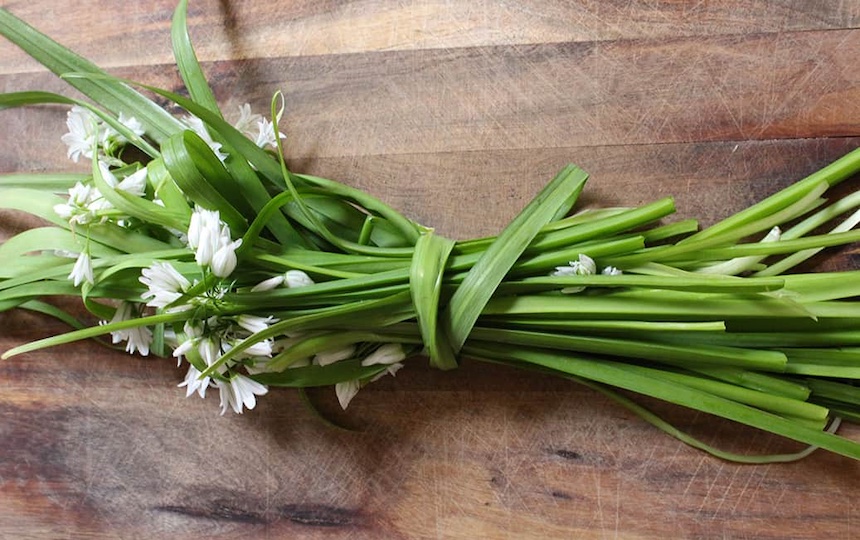 Fermented Whole Onion Weed Recipe