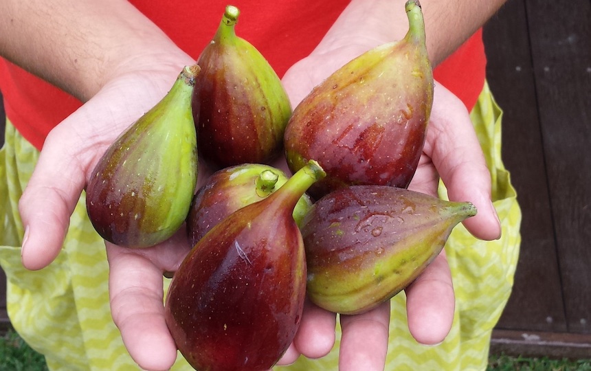 using up surplus figs