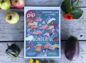 Pip Magazine Issue 28