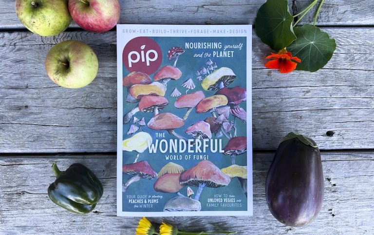 Pip Magazine Issue 28