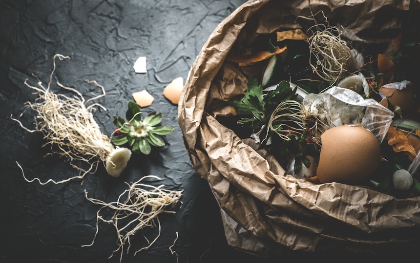 Why Healthy Soils Make Healthy Humans