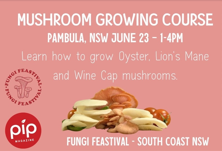 Pip Magazine mushroom growing workshop