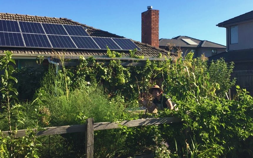 a global crisis doesn't mean you can't garden in public
