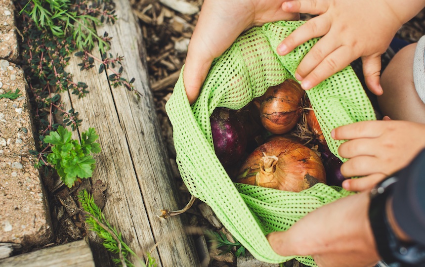 Going Zero Waste With Kids