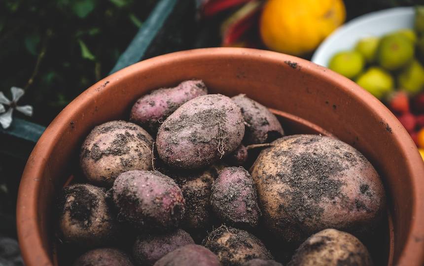 How to chit potatoes