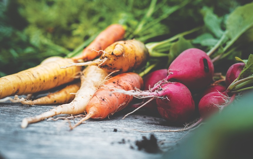 Growing Root Vegetables 1