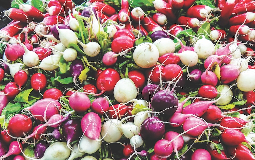 Radishes are the quickest and easiest root vegetable to grow. They can be grown in most climates year-round, though germination and maturation take longer in very hot or cold weather. Radish seeds should be sown direct at a depth of around one centimetre, five centimetres apart and covered lightly with soil. Seeds can germinate in as little as a few days and be ready to harvest in just a few weeks – so they're a great quick crop in between younger plants in your garden. 