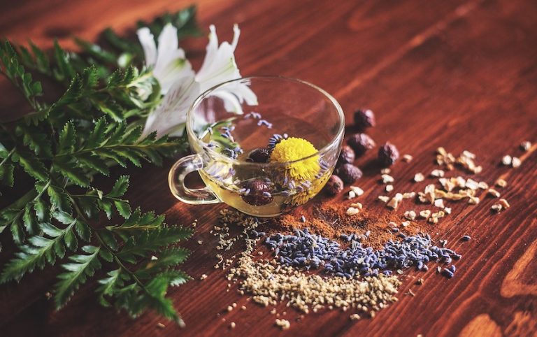 Herbal first aid kit