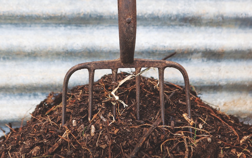 compost pile