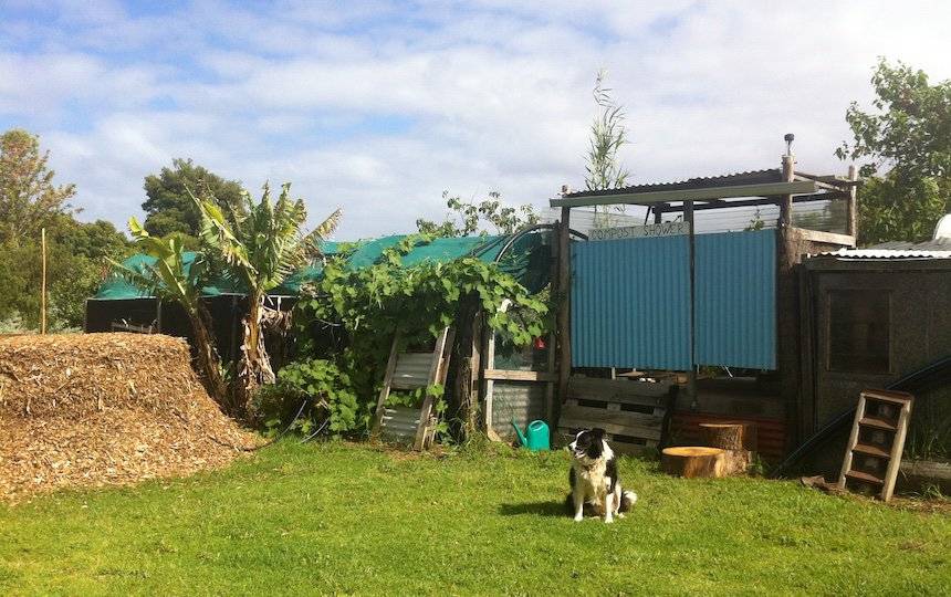 How To Build A Compost Shower