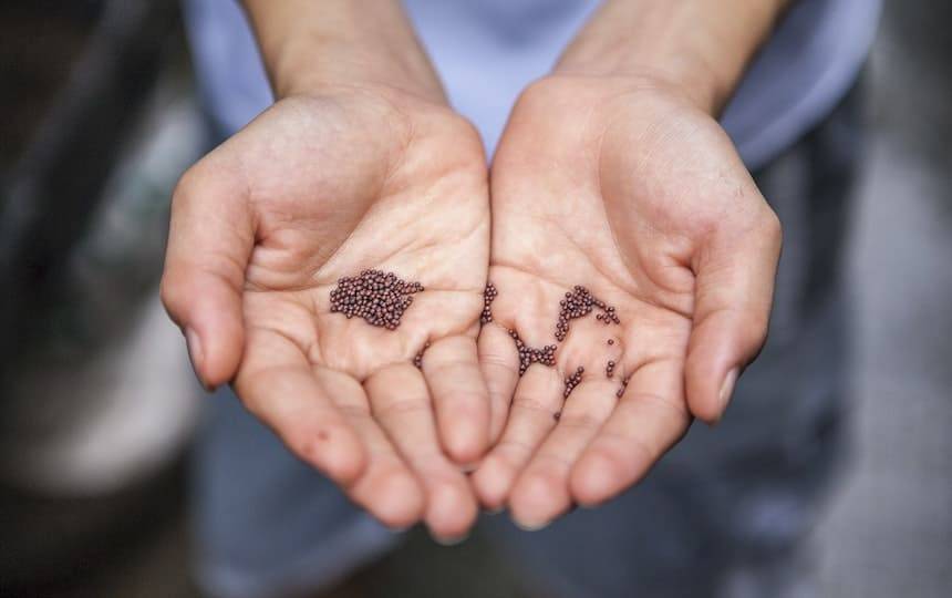 How to Cope with Eco Anxiety