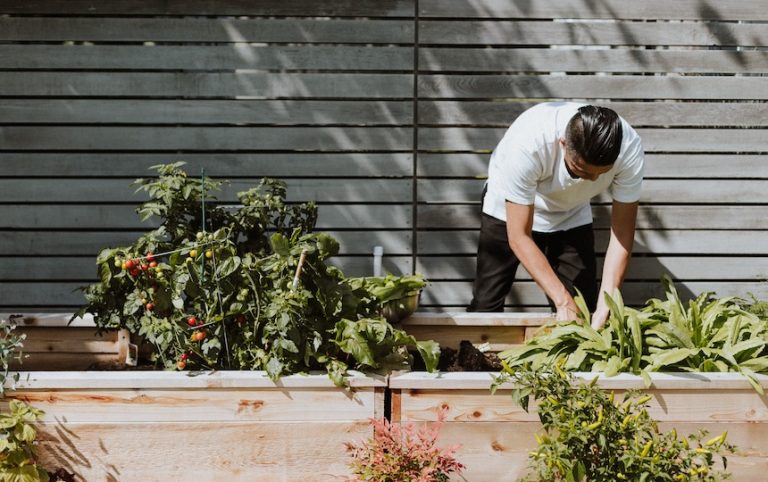 How To Create a Verge Garden