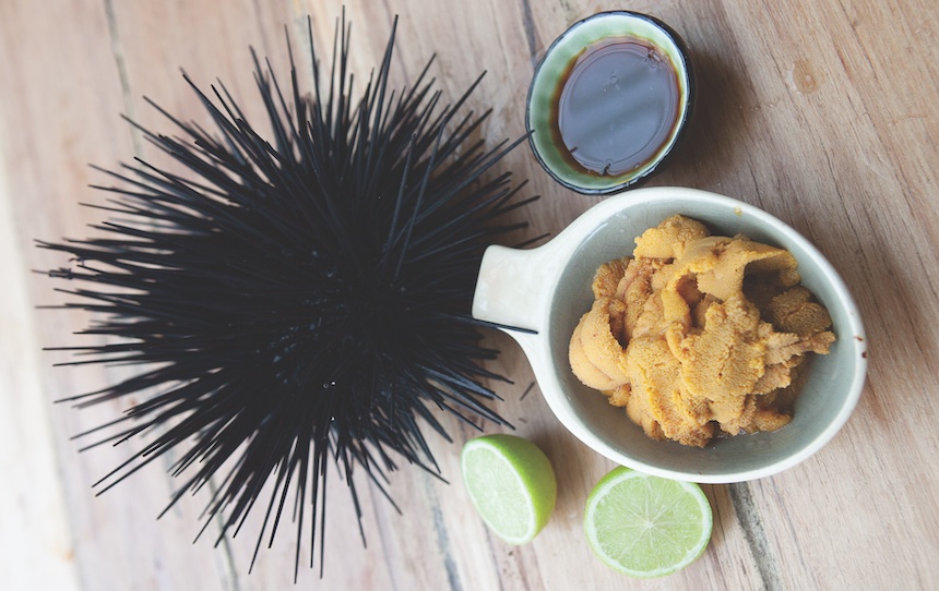 How To Harvest & Prepare Sea Urchins 