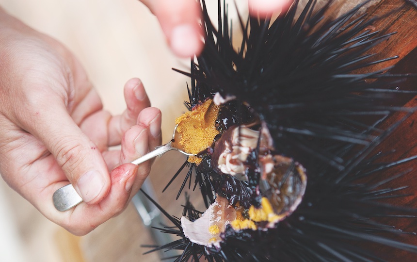 You’ll be left with the yellow-orange roe around the edges of the shell. 
