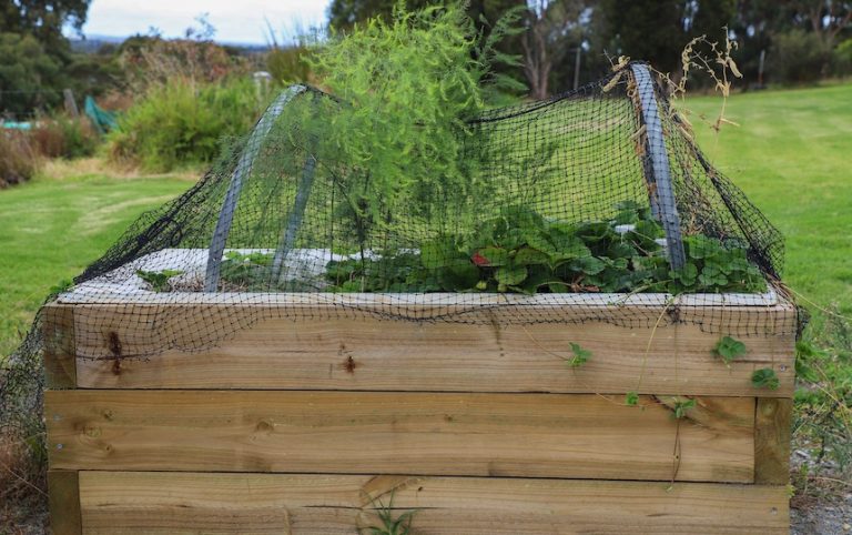 How-to-make-a-wicking-bed