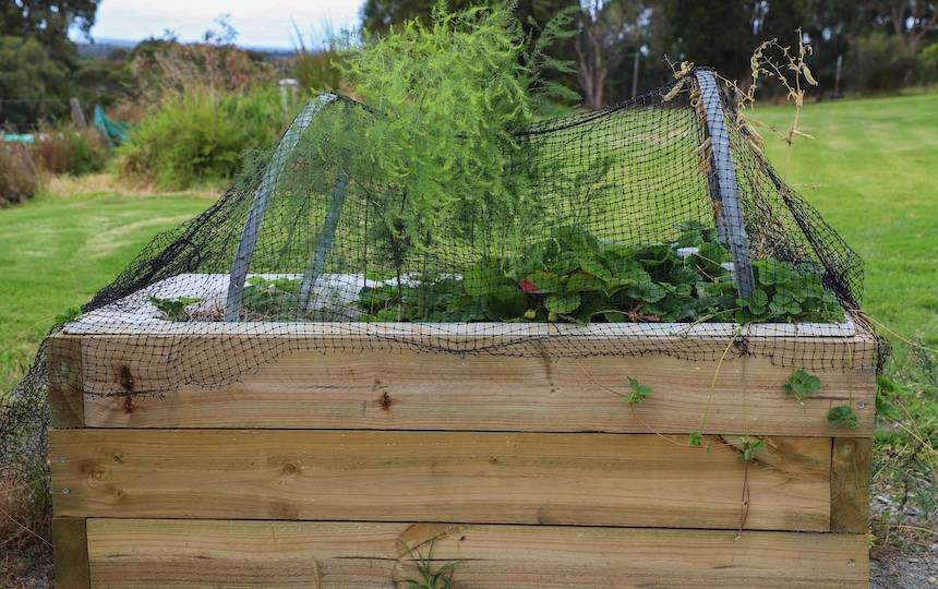 How-to-make-a-wicking-bed