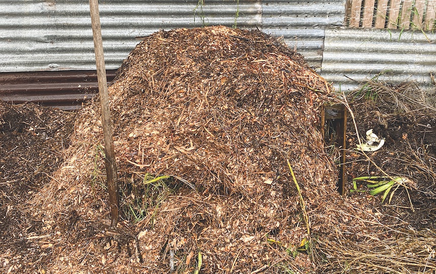 Compost your food waste