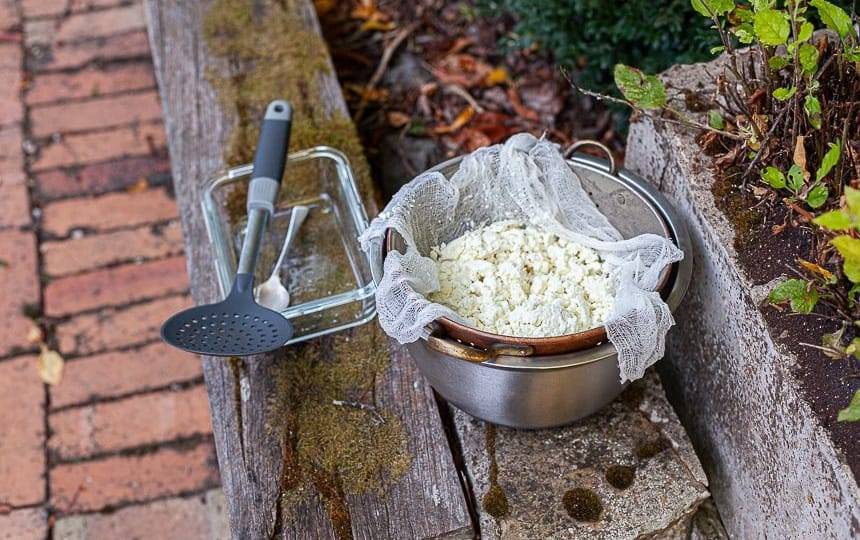 How To Make Goat Cheese